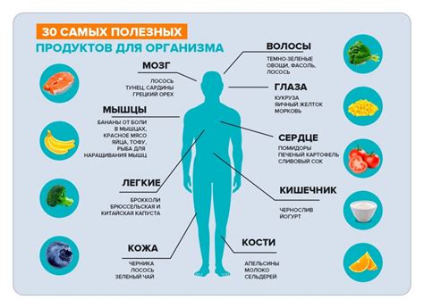 Важный источник минералов для организма