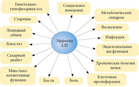 Вазопрессин и его влияние на стрессовые реакции организма