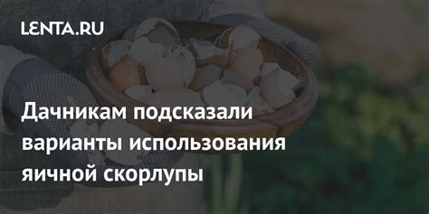 Варианты использования скорлупы семечек