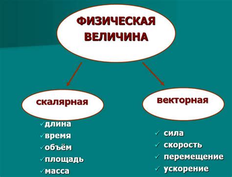 Векторная и скалярная величина: разница между ними