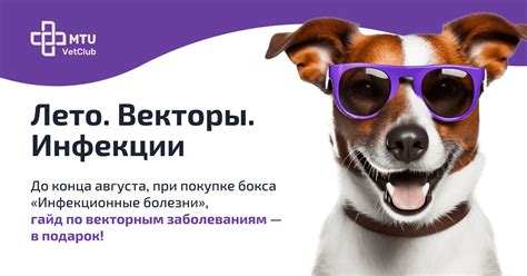 Векторы инфекции