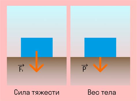 Вес и переносимость