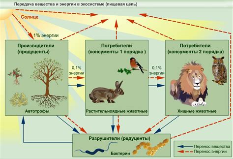 Вещества грифеля от циркуля и их влияние на организм