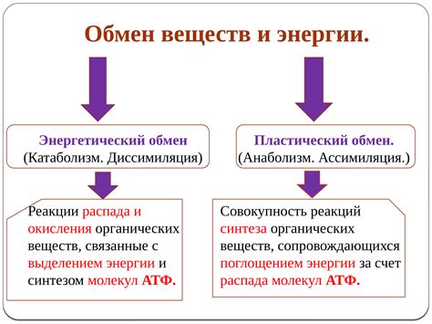 Вещества и обмен веществ