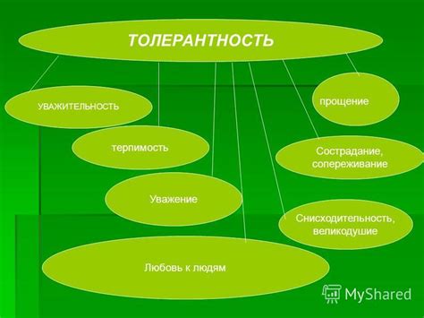 Взаимная уважительность и толерантность