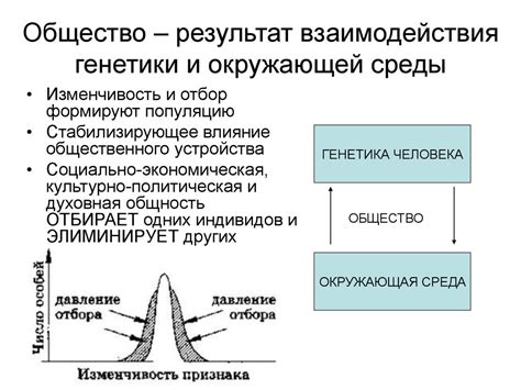 Взаимодействие генетики и окружающей среды