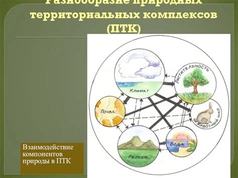 Взаимодействие компонентов природной среды