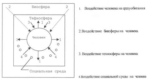 Взаимодействие человека с биосферой и космосом