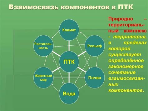 Взаимосвязь биосферных компонентов