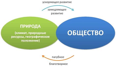 Взаимосвязь между политикой и обществом