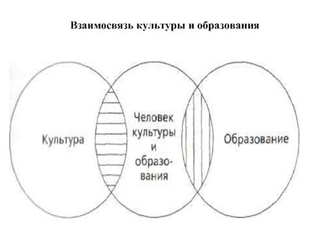 Взаимосвязь подкоркового образования и моторики