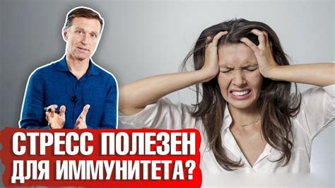 Взаимосвязь стресса и иммунитета