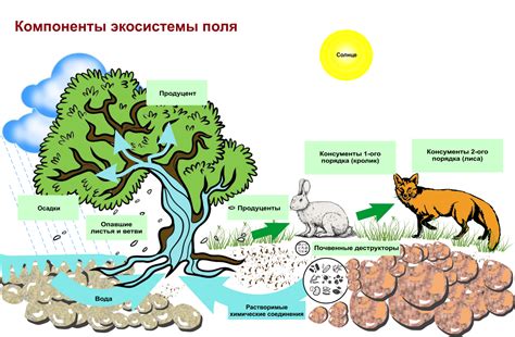 Виды биологического разнообразия