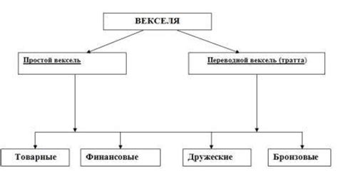 Виды векселей