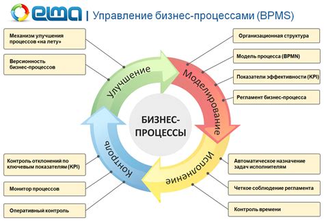 Виды грамотности и их влияние на управление