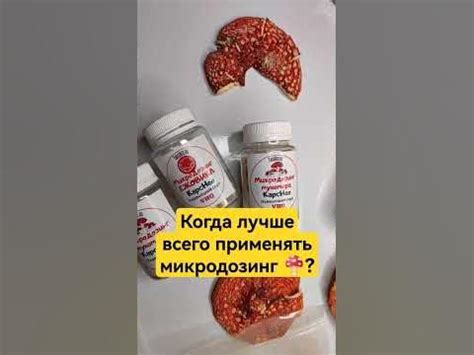 Виды использования: как и где лучше всего применять каждый продукт