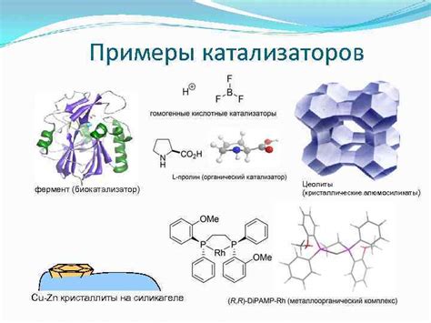 Виды катализаторов, используемых в биологии