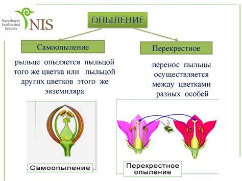 Виды опыления: