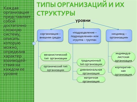 Виды организаций: основные типы