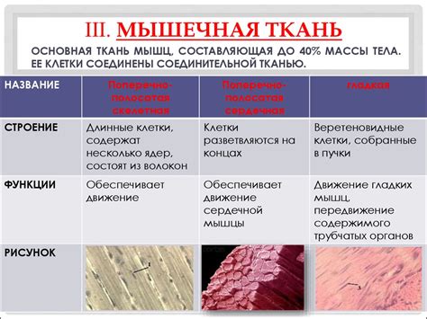 Виды пояснений: разновидности и особенности использования