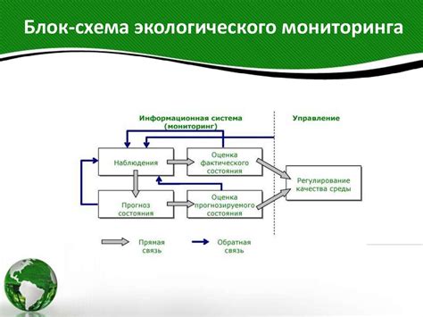 Виды экологического мониторинга