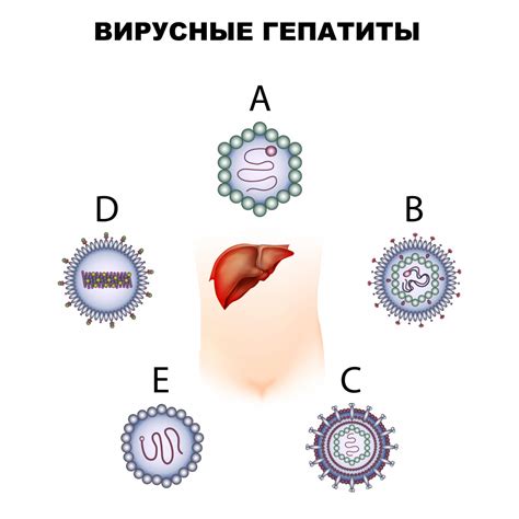 Вирусные инфекции как причина появления волдырей