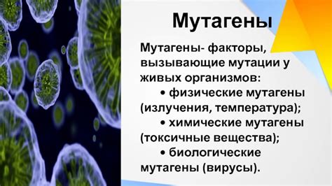 Вирусы в клетке: влияние и мутации