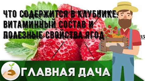 Витаминный состав и полезные свойства сумаха