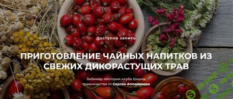 Витграсс: использование в кулинарии и приготовление полезных напитков