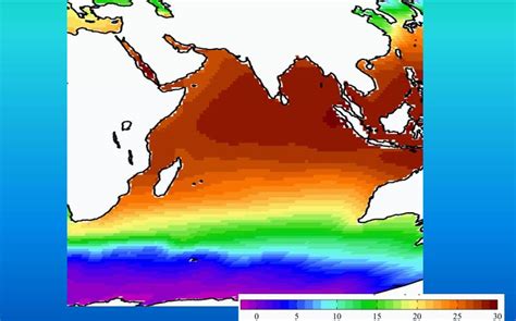 Влияние Гольфстрима на климат Индийского океана