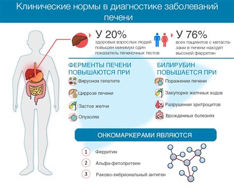 Влияние алкоголя на повышение уровня щелочной фосфатазы