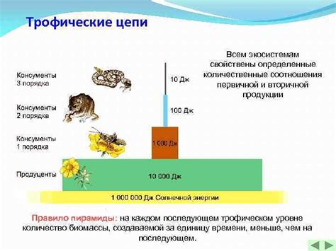 Влияние ассимиляции на биологическую продуктивность