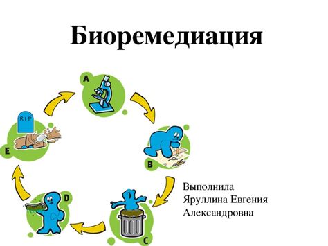 Влияние бактерий на среду обитания: биодеструкция, биоремедиация