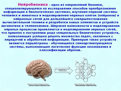 Влияние биосистем на разработку бионических устройств