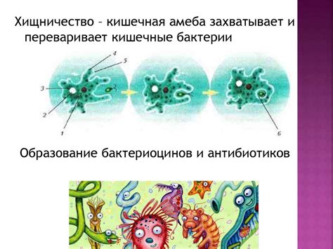 Влияние влажной среды на сопряжение с другими организмами