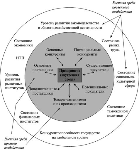 Влияние внешней среды на функционирование организации