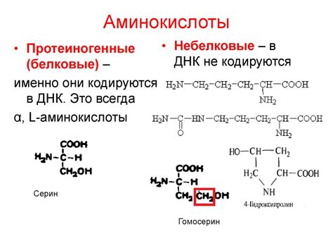 Влияние внешних факторов на свободные аминокислоты