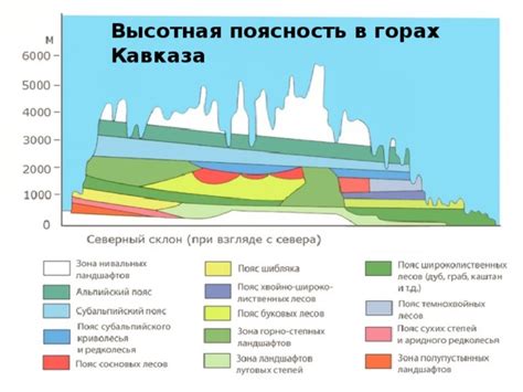 Влияние высотной поясности на климат в Кавказских горах