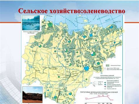 Влияние географического положения на страну