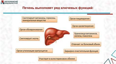 Влияние душистого перца на метаболизм