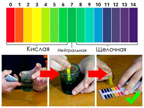 Влияние кислотности почвы на развитие растений