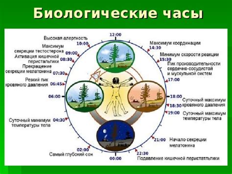 Влияние комплексов на жизнь и отношения