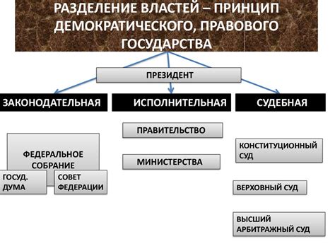 Влияние местных властей и государства