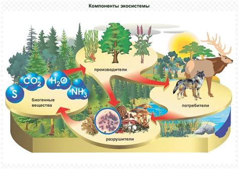 Влияние на биологические системы и экосистемы