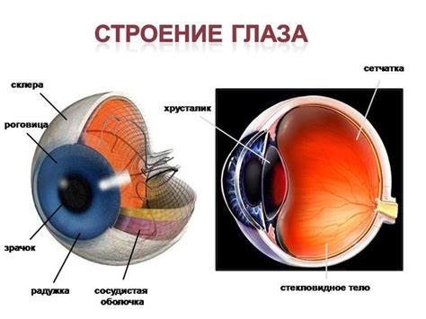 Влияние на другие структуры глаза