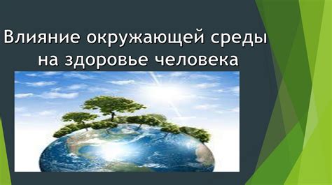 Влияние окружающей среды на восприятие человека