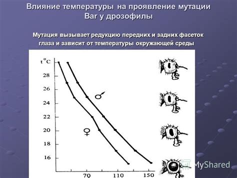 Влияние окружающей среды на проявление полового влечения