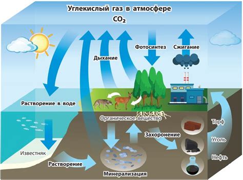 Влияние парникового эффекта на биосферу