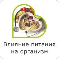 Влияние питания на организм