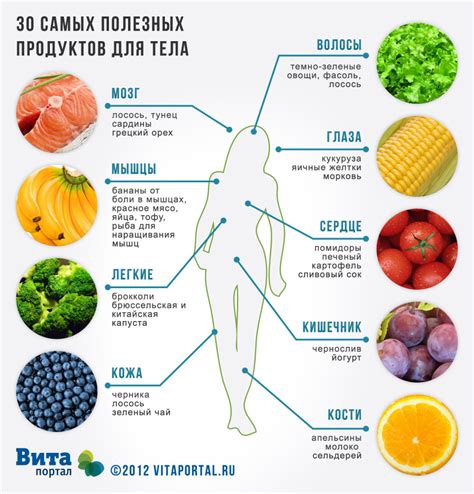 Влияние питания на поддержание здоровья